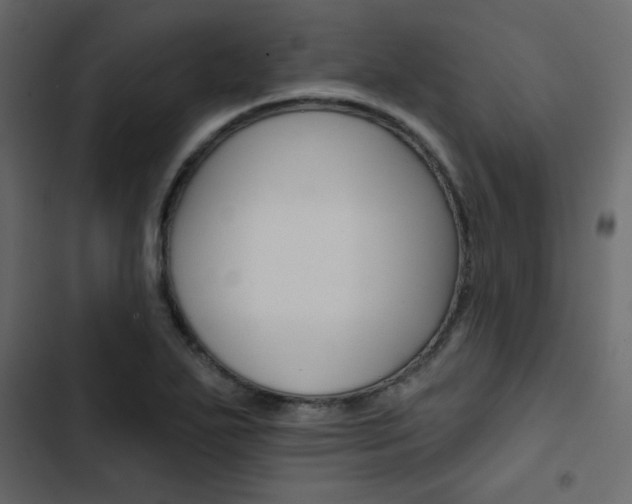 X0000103911271200809191110