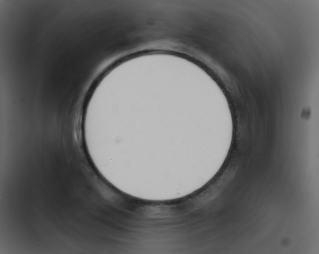 X0000103911272200809191110