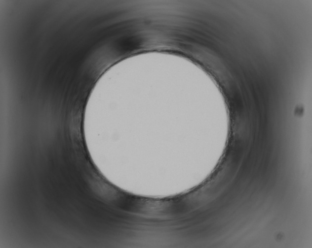 X0000103911273200809191110