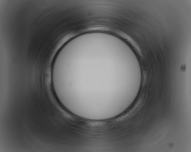 X0000103911274200809191110