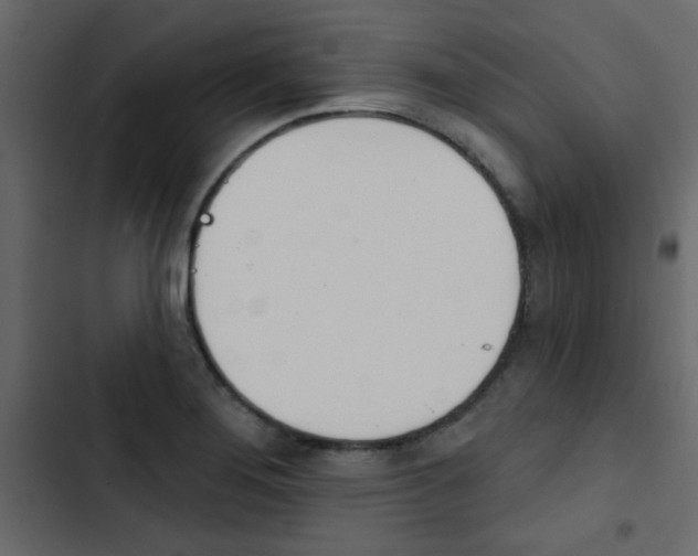 X0000103911276200809191110