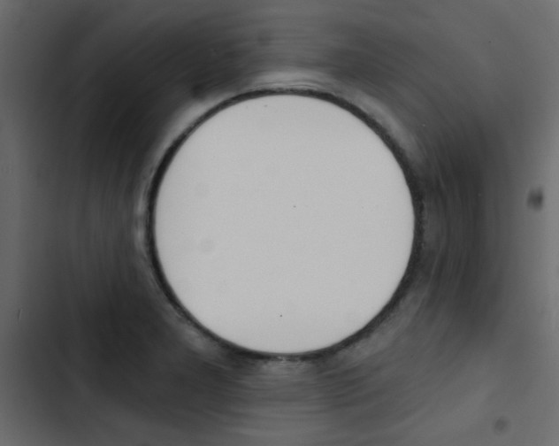 X0000103911277200809191110