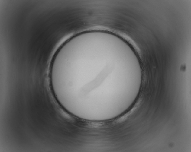 X0000103911278200809191110