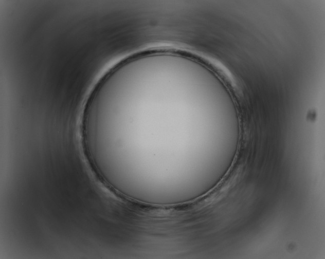X0000103911279200809191110