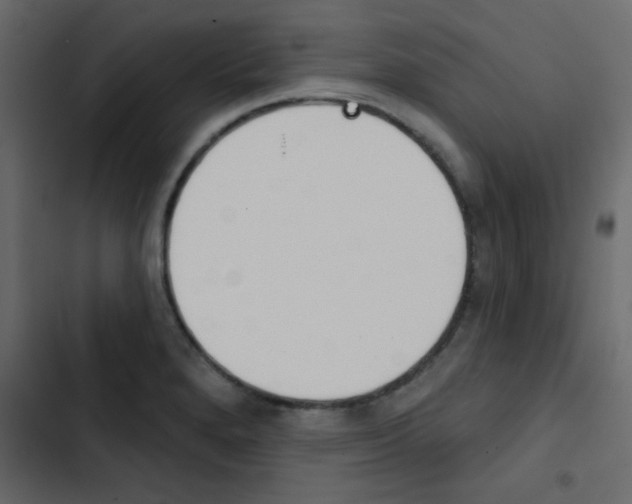 X0000103911280200809191110