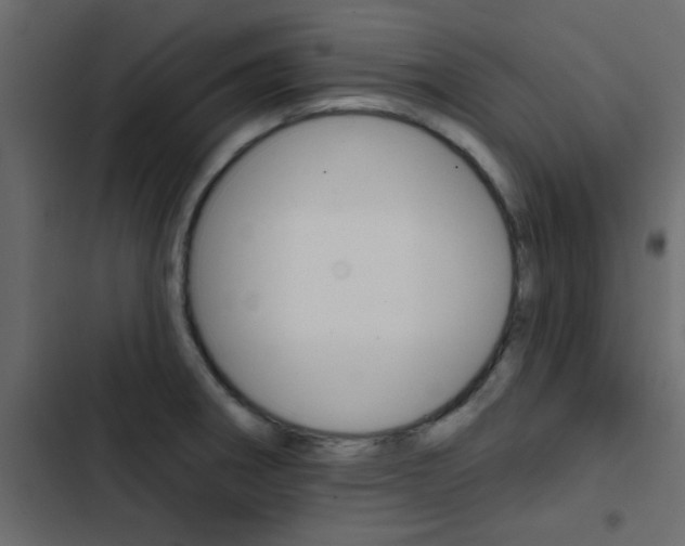X0000103911282200809191110