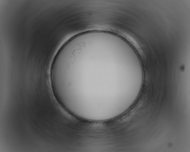 X0000103911283200809191110