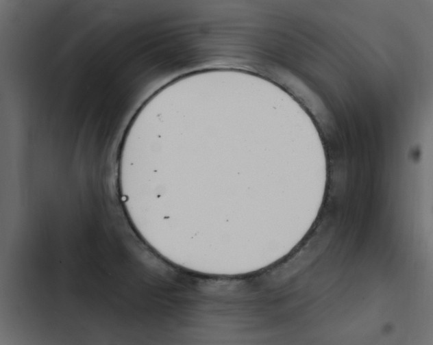 X0000103911284200809191110