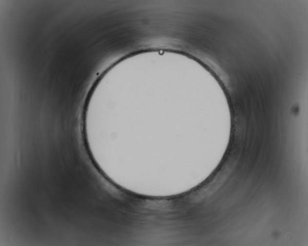 X0000103911285200809191110