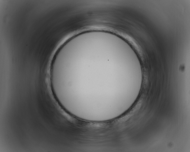 X0000103911286200809191110