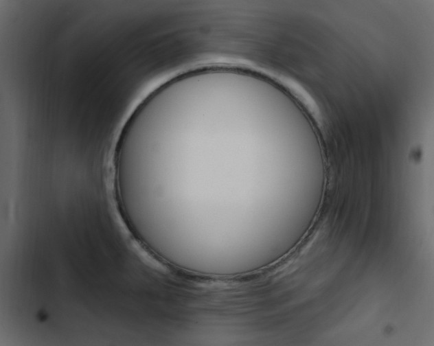 X0000103911287200809191110