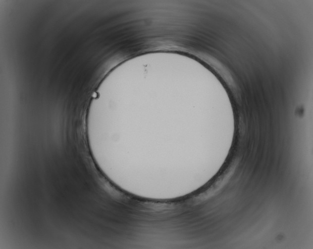 X0000103911289200809191110