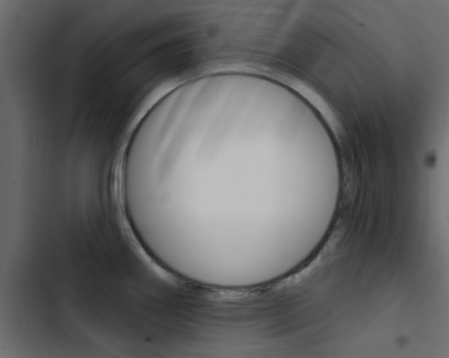 X0000103911290200809191110