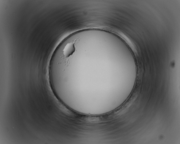 X0000103911291200809191110