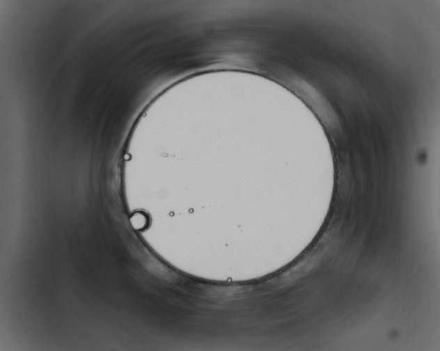 X0000103911292200809191110