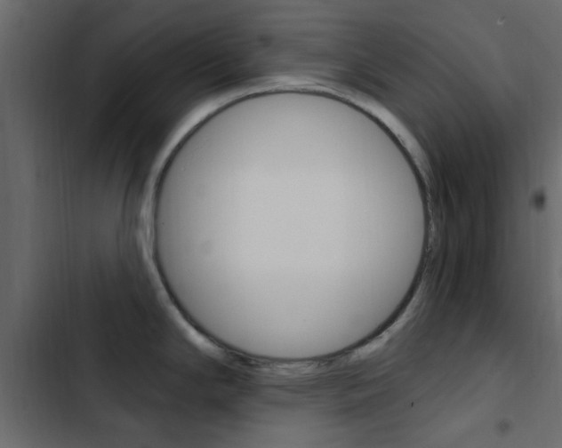 X0000103911294200809191110