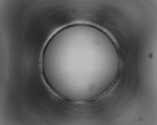 X0000103911295200809191110