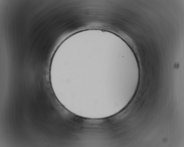 X0000103911296200809191110