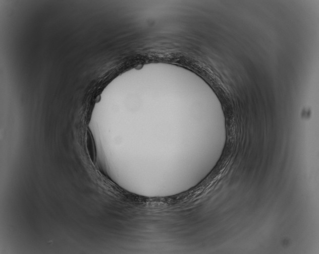 X0000103911297200809191109