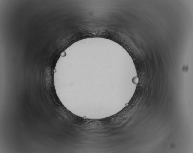 X0000103911298200809191109