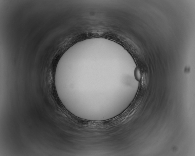 X0000103911299200809191109