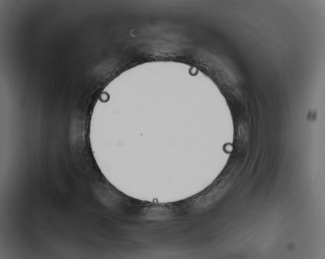 X0000103911300200809191109