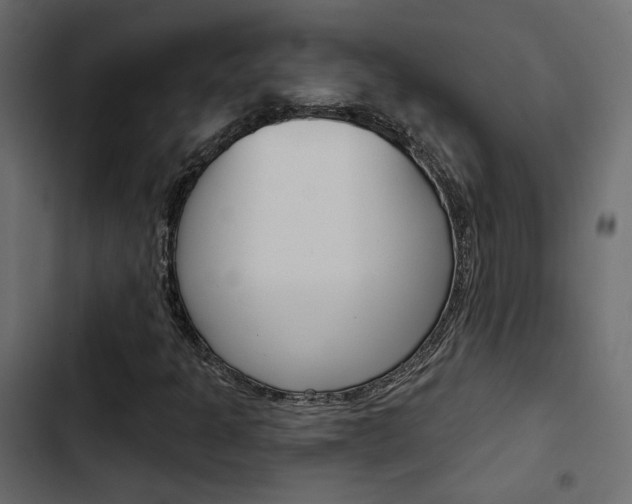 X0000103911301200809191109