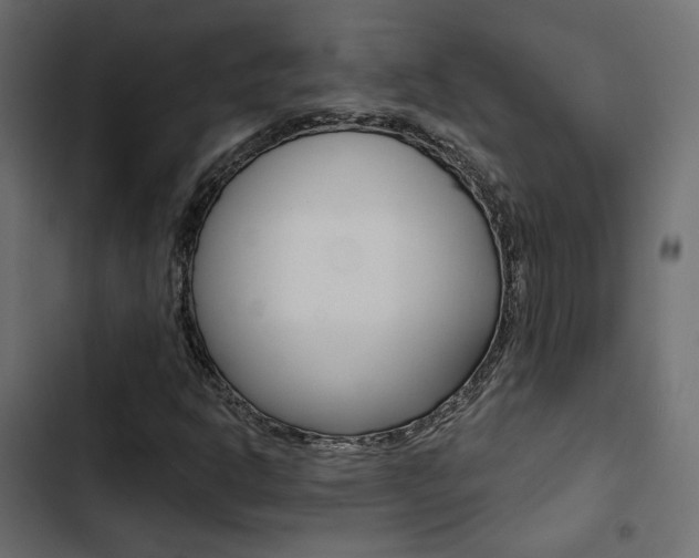 X0000103911302200809191109