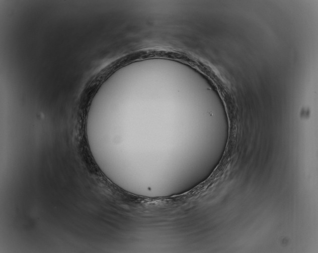 X0000103911303200809191109