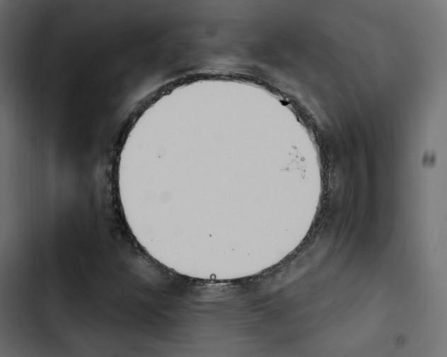 X0000103911304200809191109