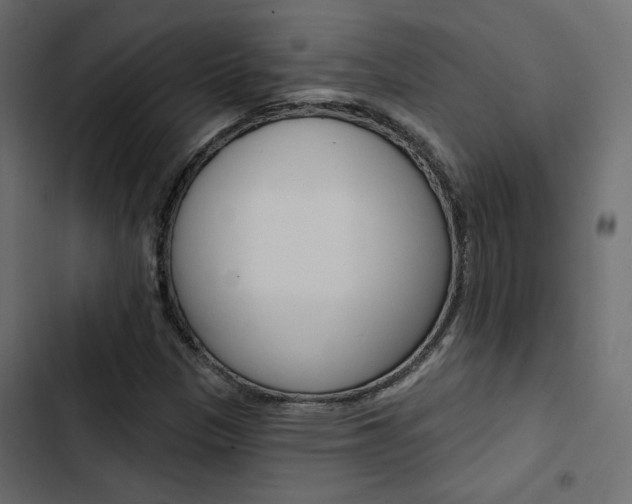 X0000103911305200809191109