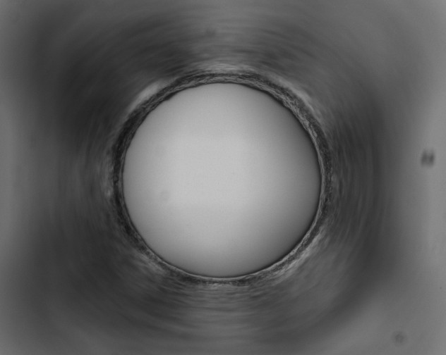 X0000103911306200809191109
