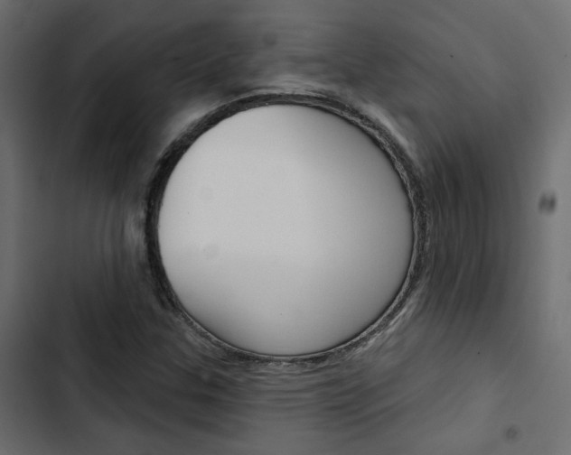 X0000103911307200809191109