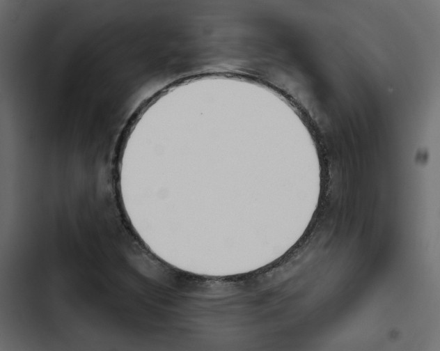 X0000103911308200809191109