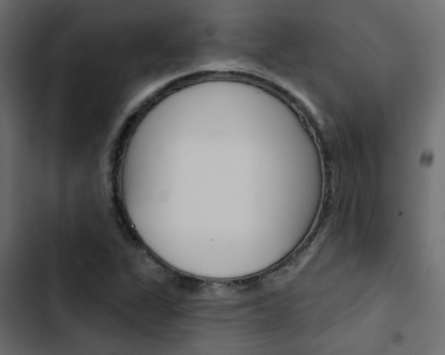 X0000103911311200809191109