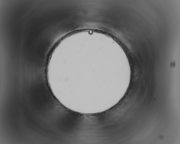 X0000103911312200809191110
