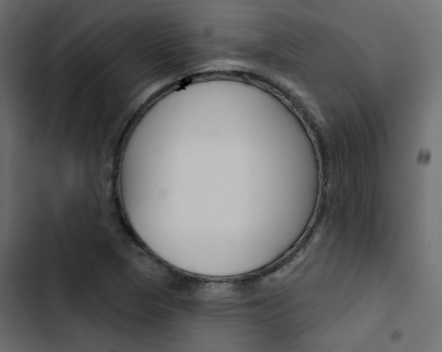 X0000103911313200809191110