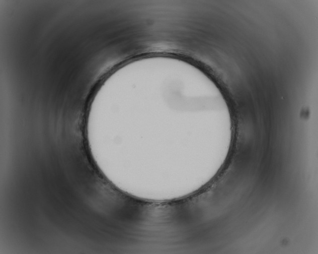 X0000103911314200809191110