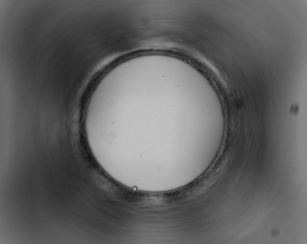 X0000103911315200809191110