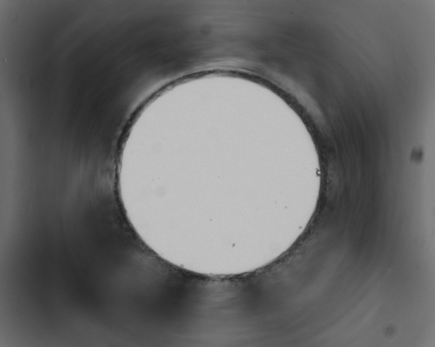 X0000103911316200809191110