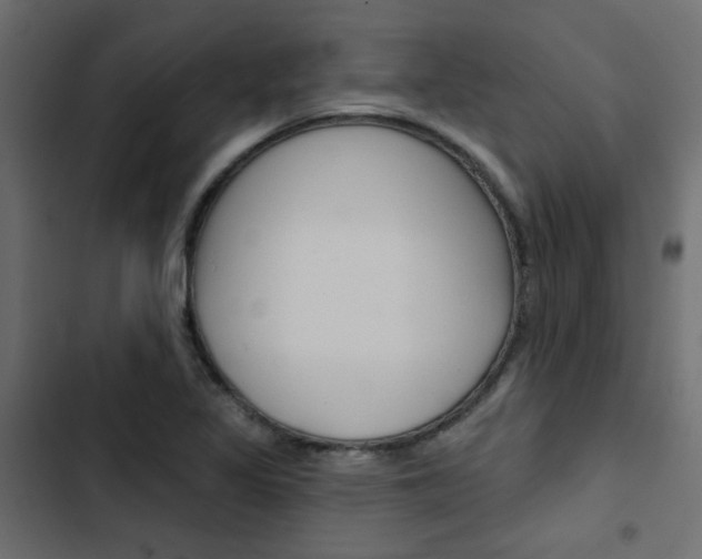 X0000103911317200809191110