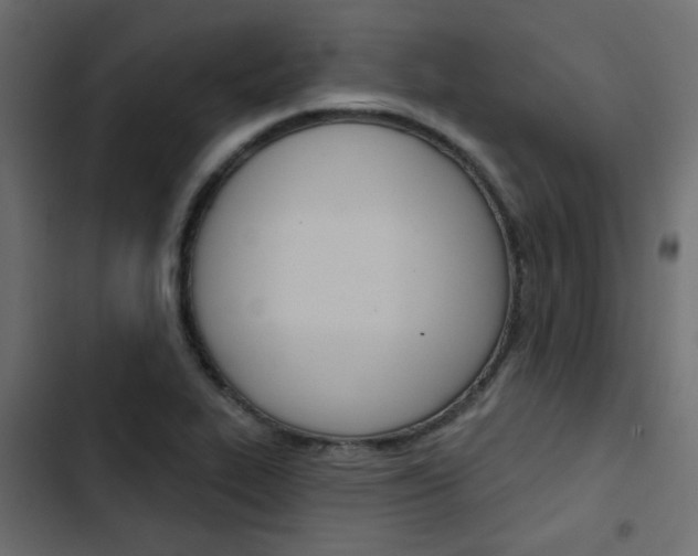 X0000103911319200809191110