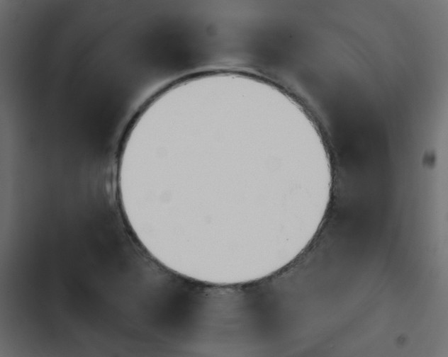 X0000103911320200809191110