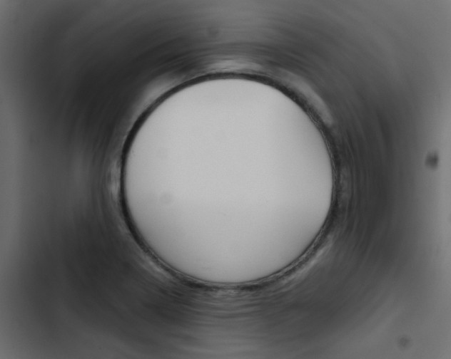 X0000103911322200809191110