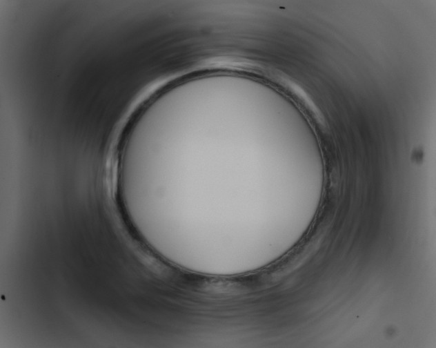 X0000103911323200809191110