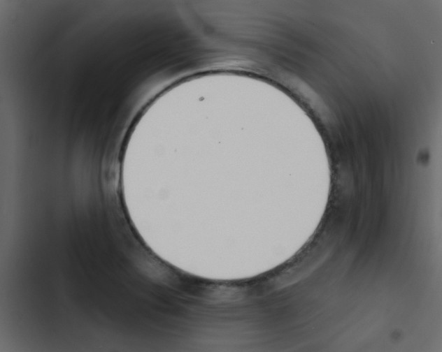 X0000103911324200809191110