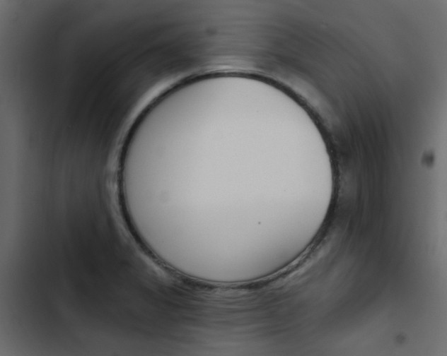 X0000103911325200809191110
