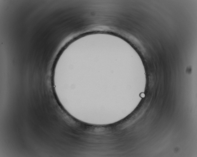 X0000103911326200809191110
