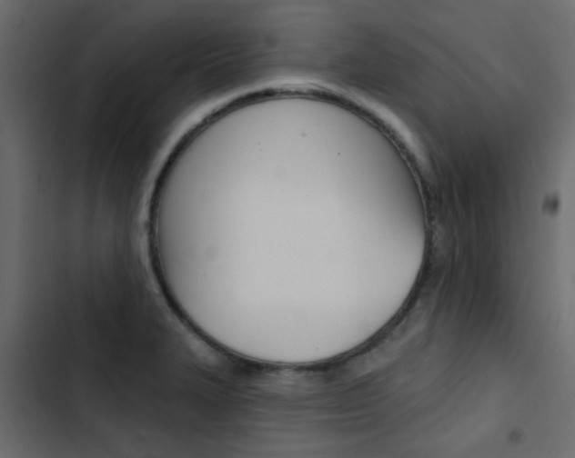 X0000103911327200809191110