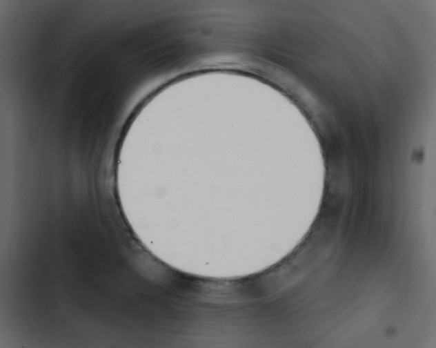 X0000103911328200809191110
